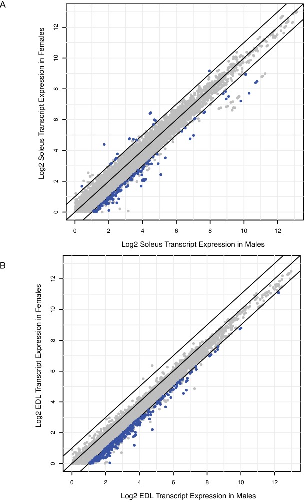 Figure 6—figure supplement 1.