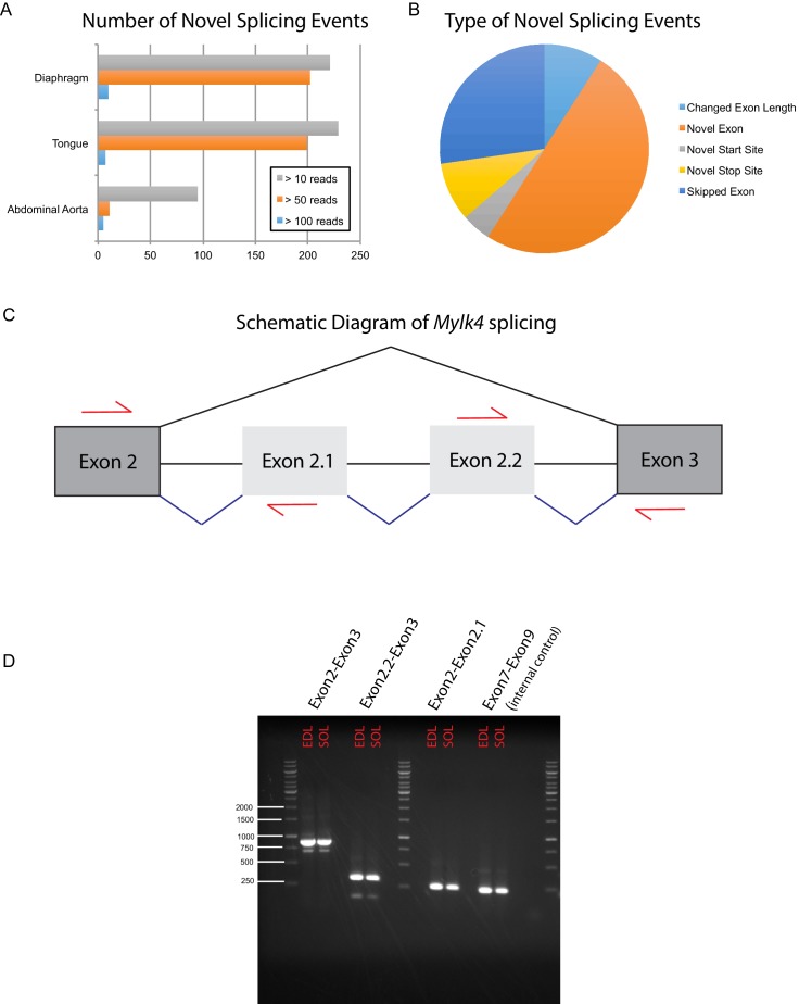 Figure 1—figure supplement 7.