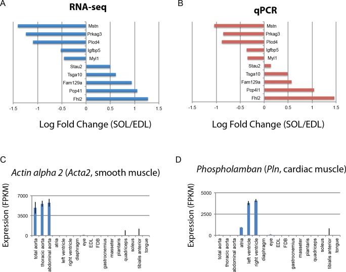 Figure 1—figure supplement 4.