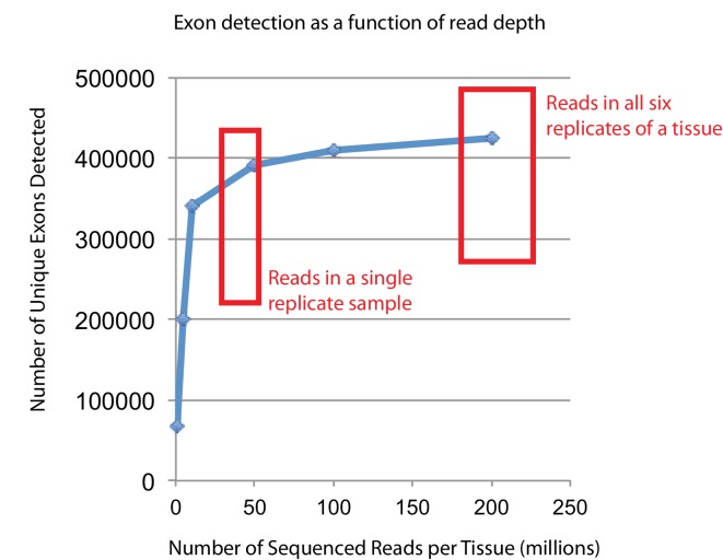 Figure 1—figure supplement 2.