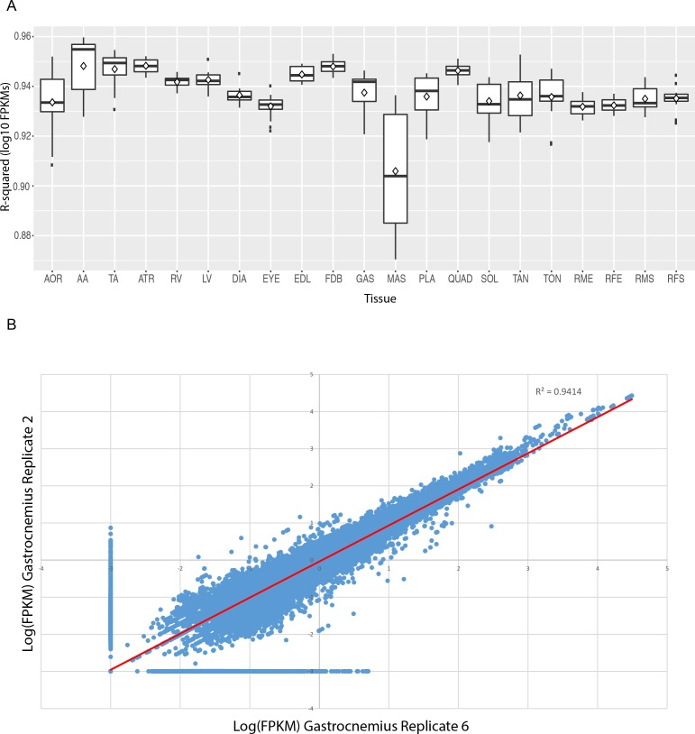 Figure 1—figure supplement 3.