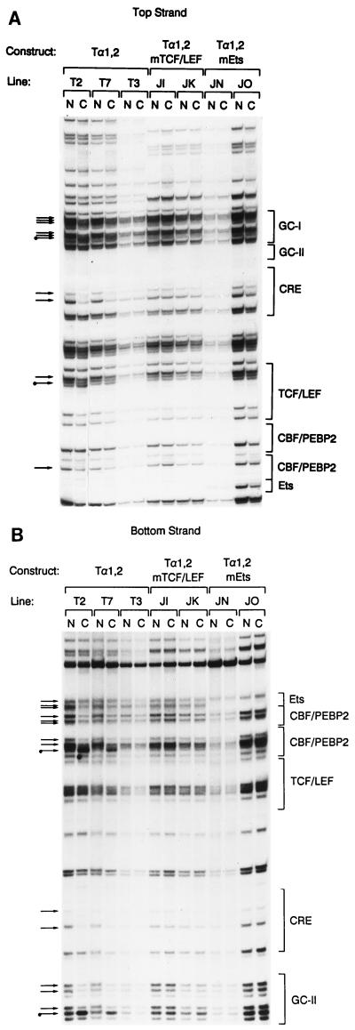 FIG. 7