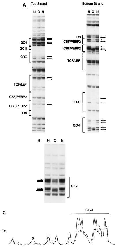 FIG. 3