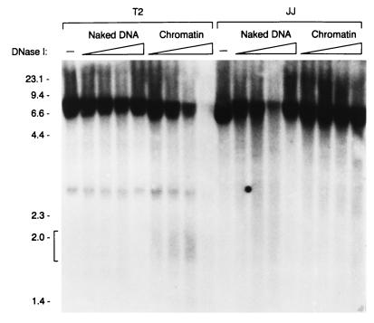 FIG. 8