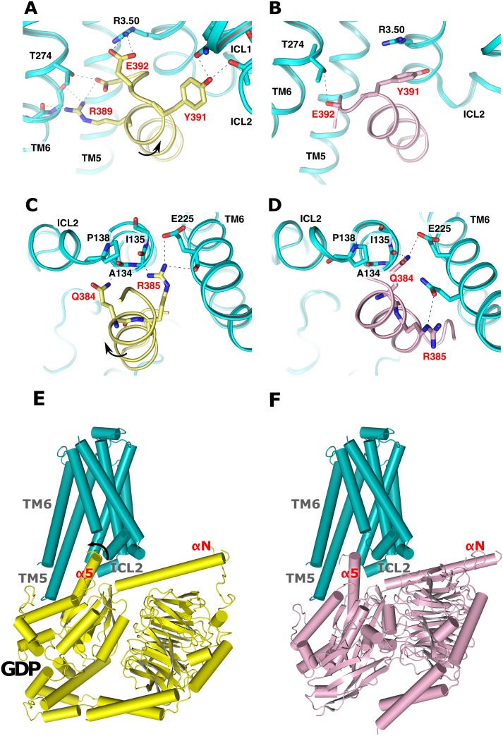 Fig 2