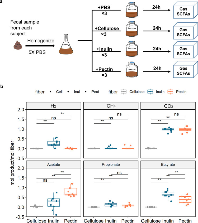 FIG 2