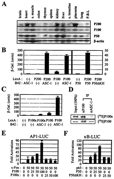 FIG. 6.