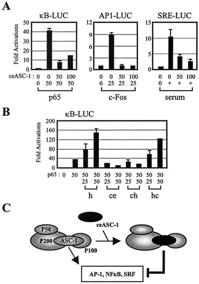 FIG. 9.