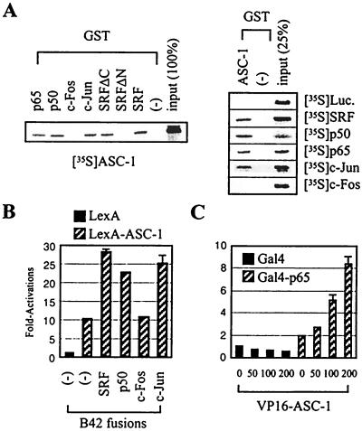 FIG. 1.