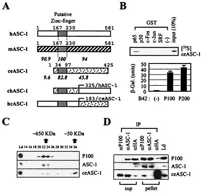 FIG. 8.