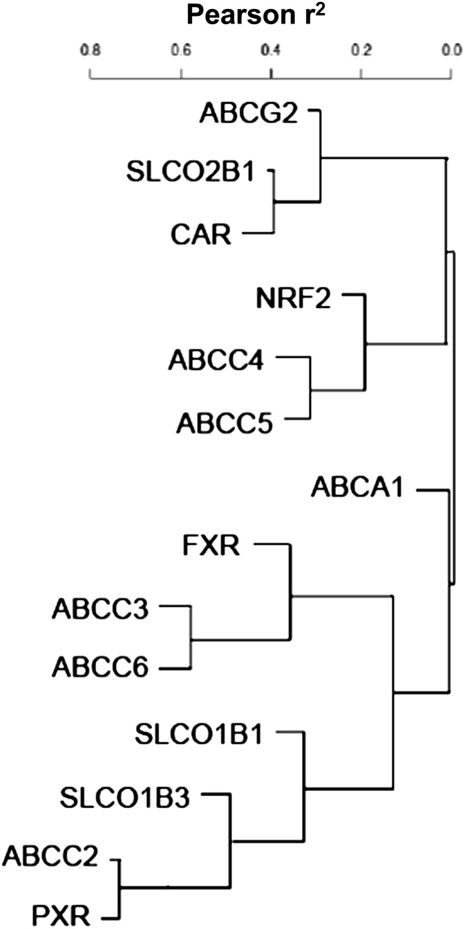 Fig. 5.