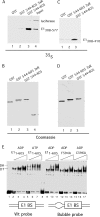 FIG 6