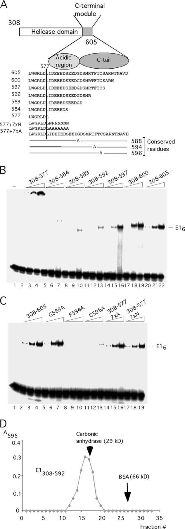 FIG 2