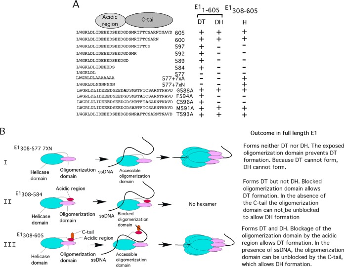 FIG 7