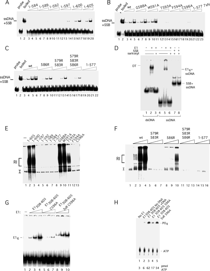 FIG 5