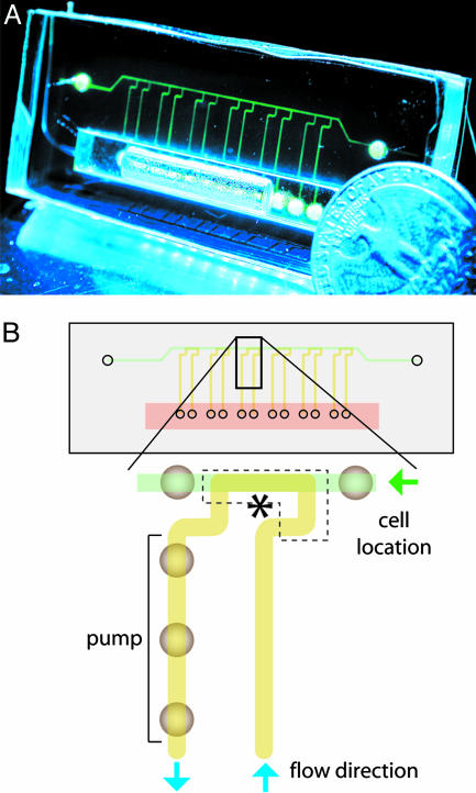 Fig. 4.