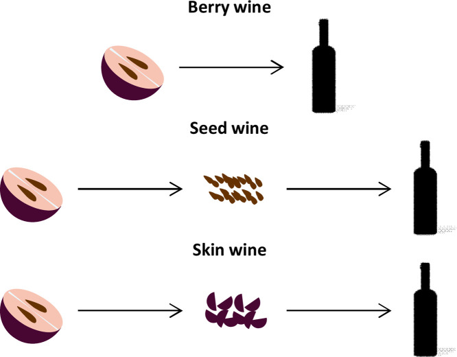 Image, graphical abstract