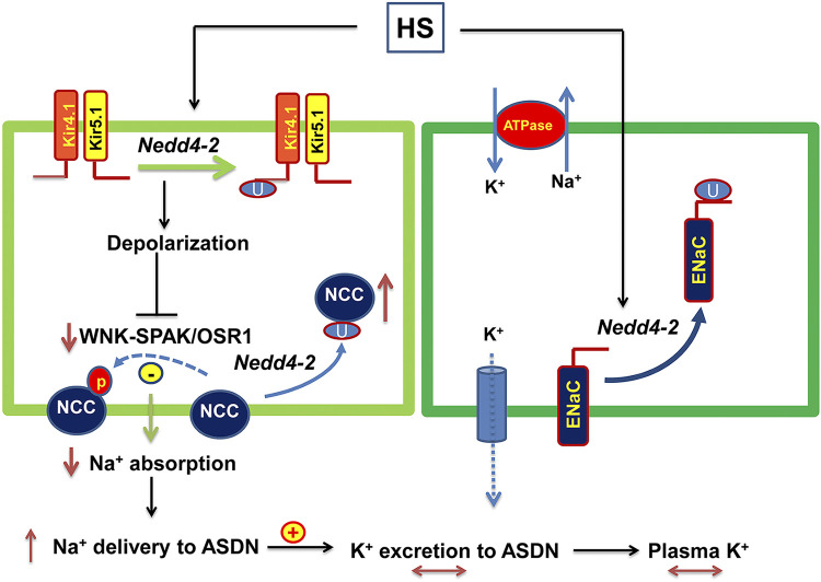 Figure 10.