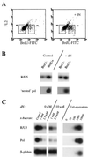 FIG. 3