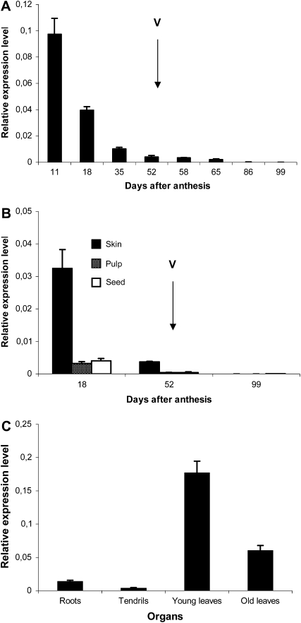 Figure 3.