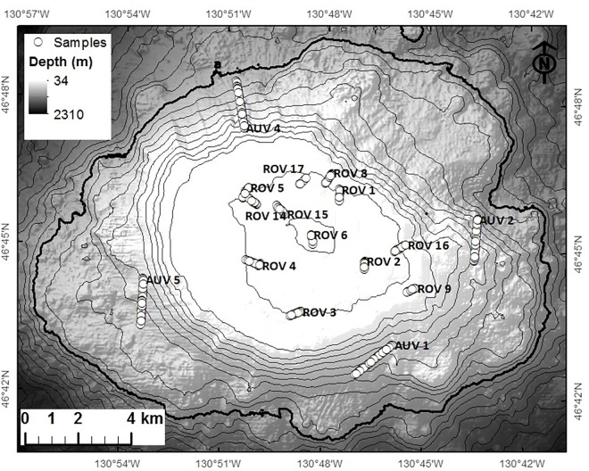 Fig 2