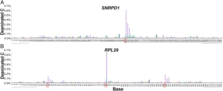 Fig. 7.