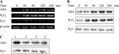 Fig. 10.