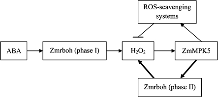 Fig. 11.