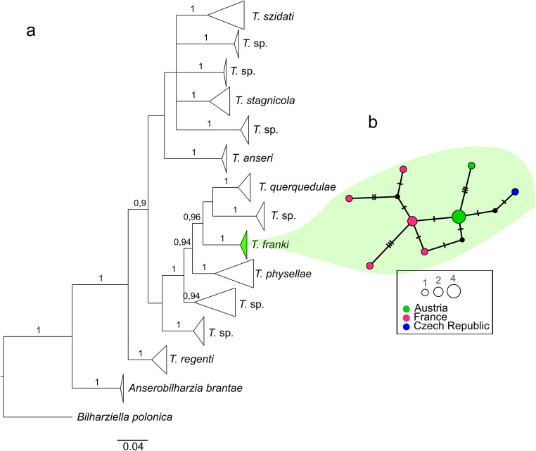 Fig. 1