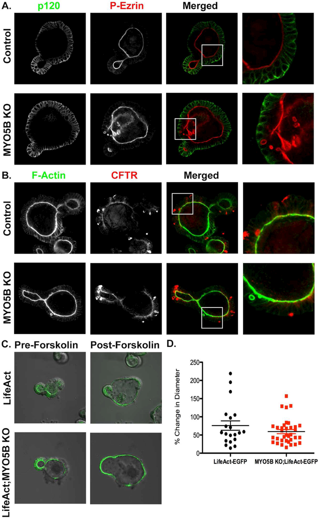 Figure 3: