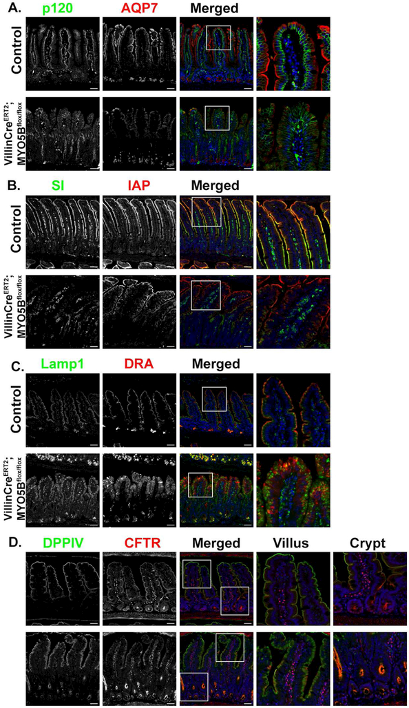 Figure 6: