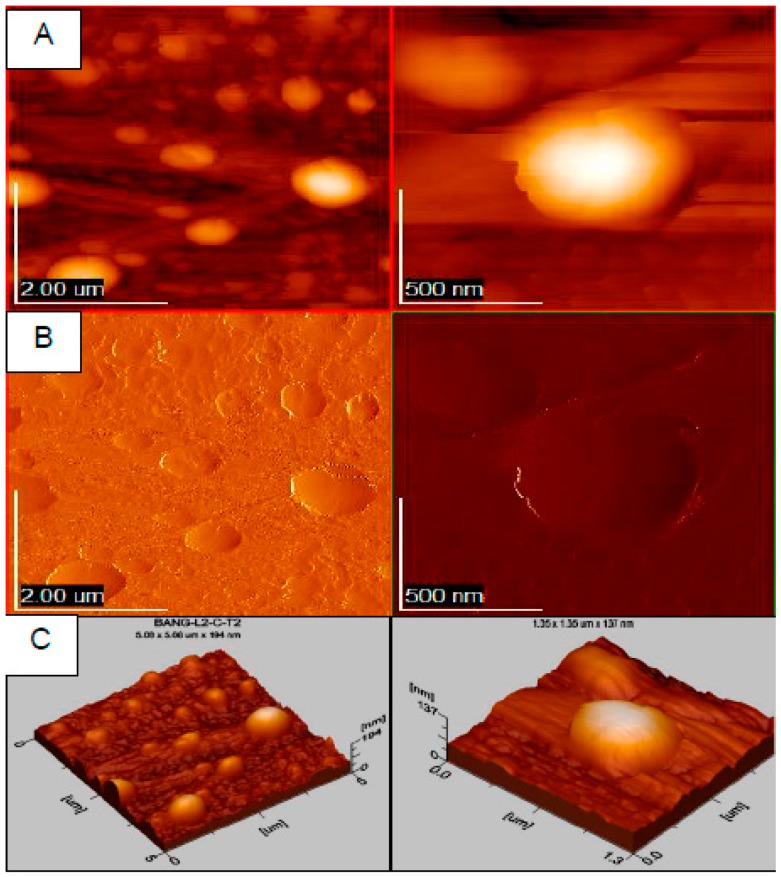 Figure 11