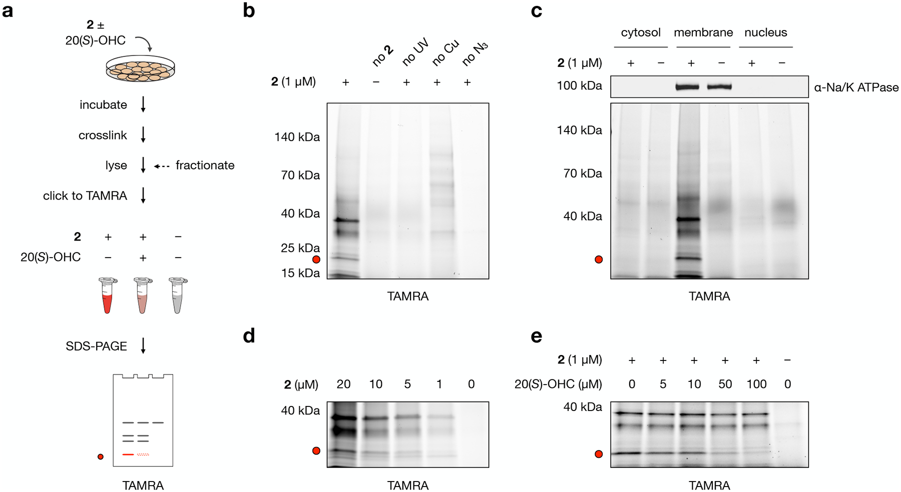 Fig. 2: