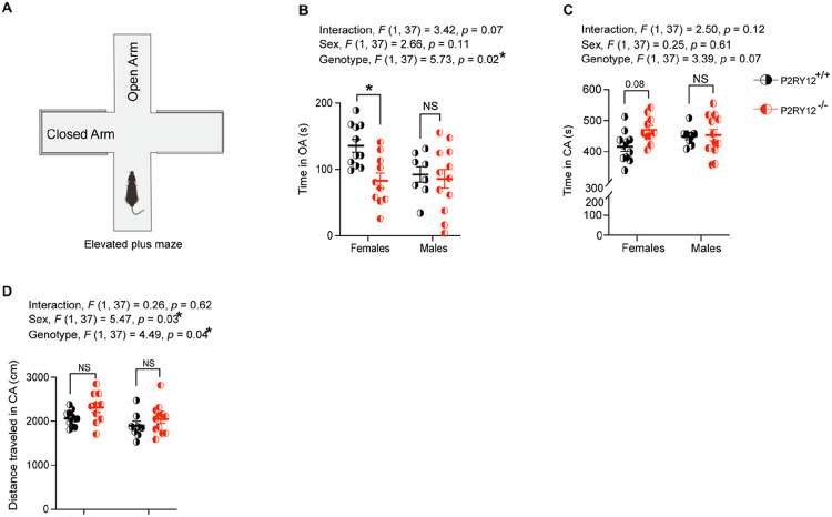 Figure 6: