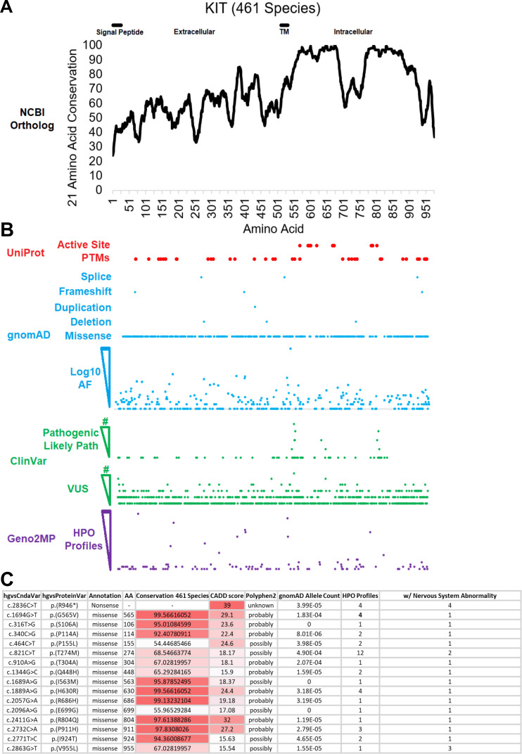 Figure 1—figure supplement 1.