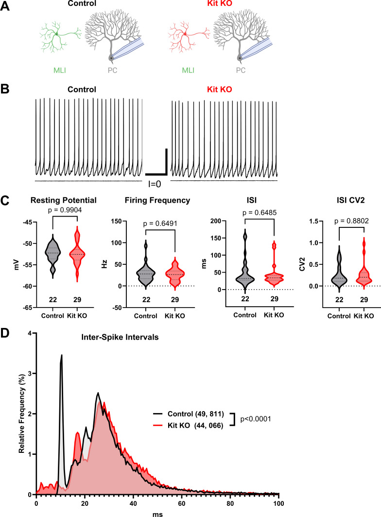 Figure 2—figure supplement 1.