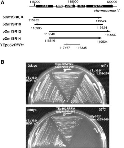 FIG. 4.