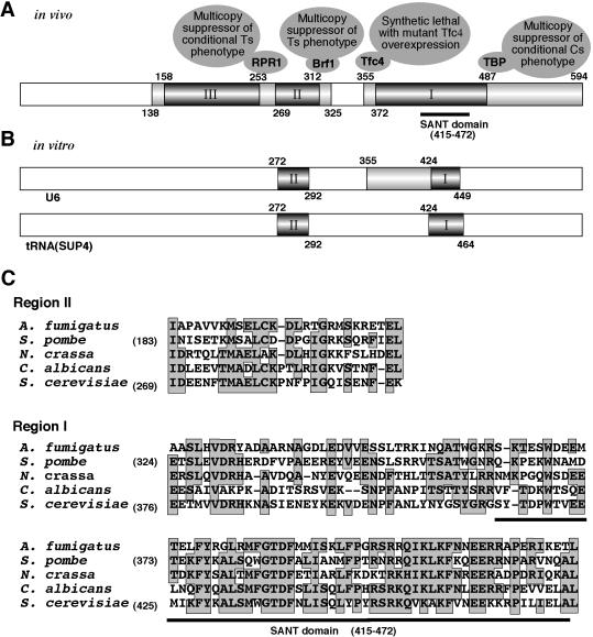 FIG. 8.