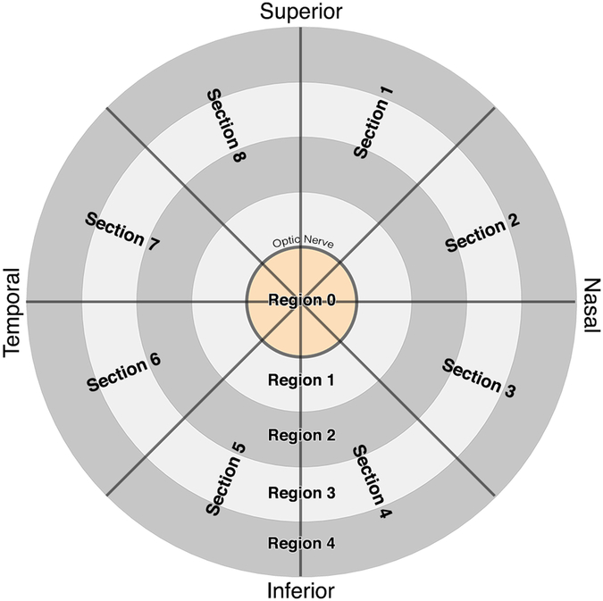 Fig. 2.