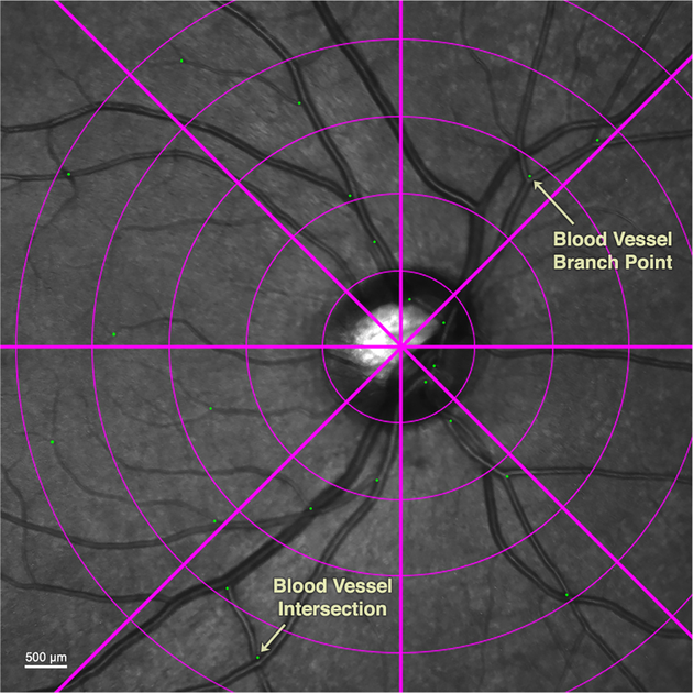 Fig. 3.