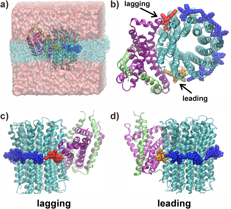 Fig. 2