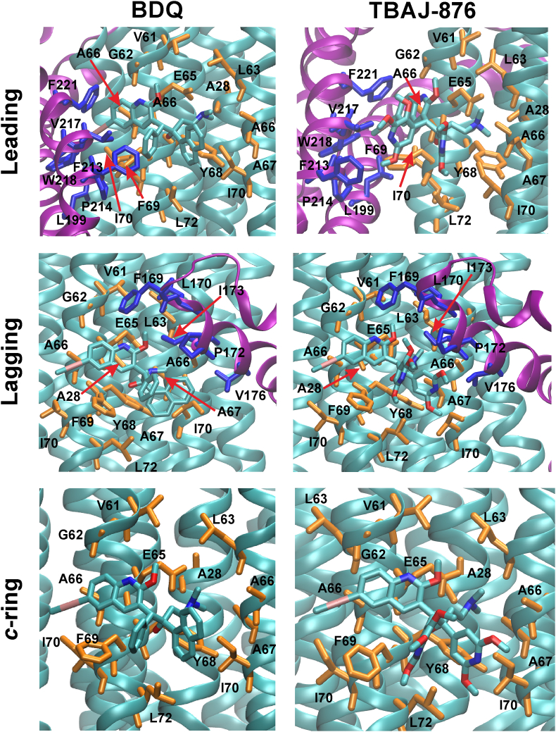 Fig. 3