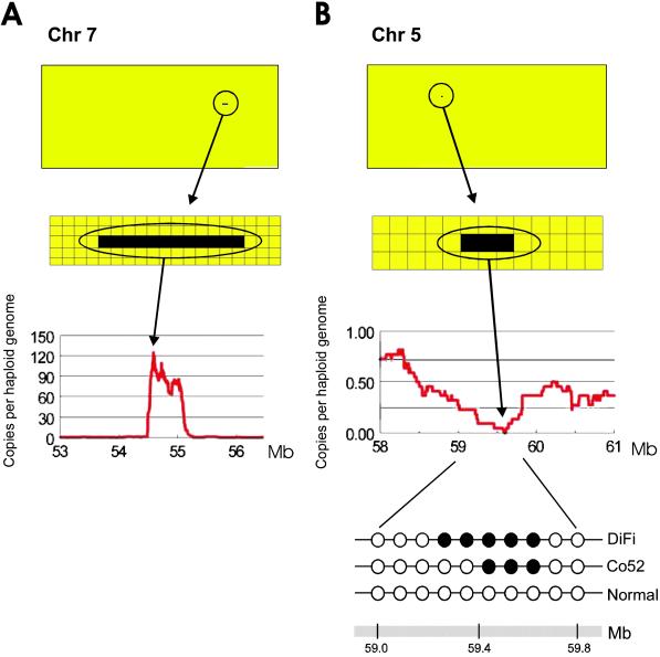 Fig 3.