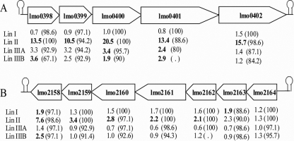 FIG. 3.