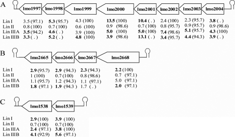 FIG. 2.