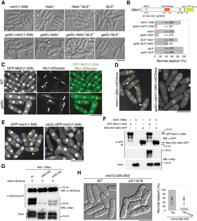 FIGURE 4: