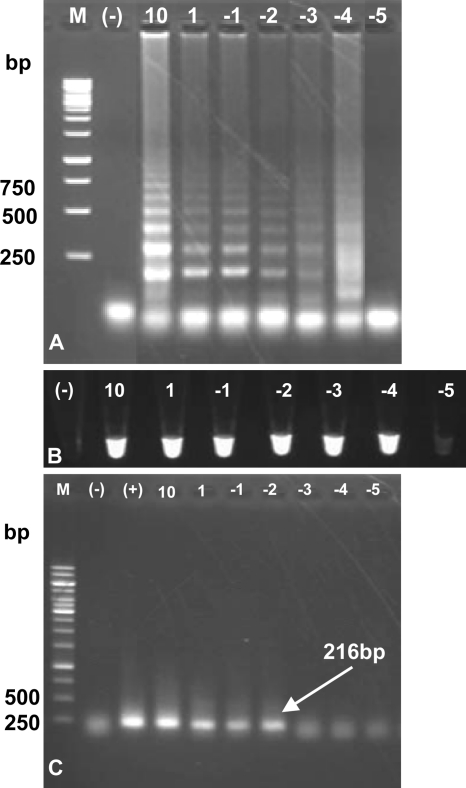 Fig 5