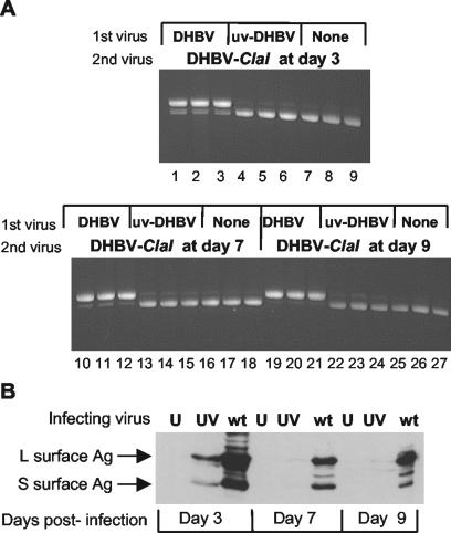 FIG. 5.