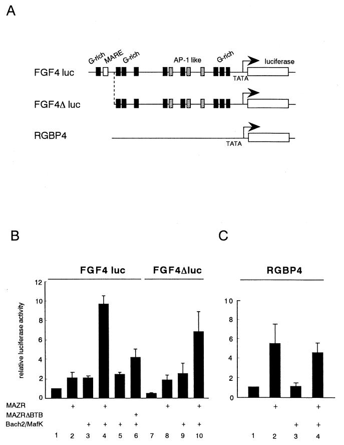 FIG. 9