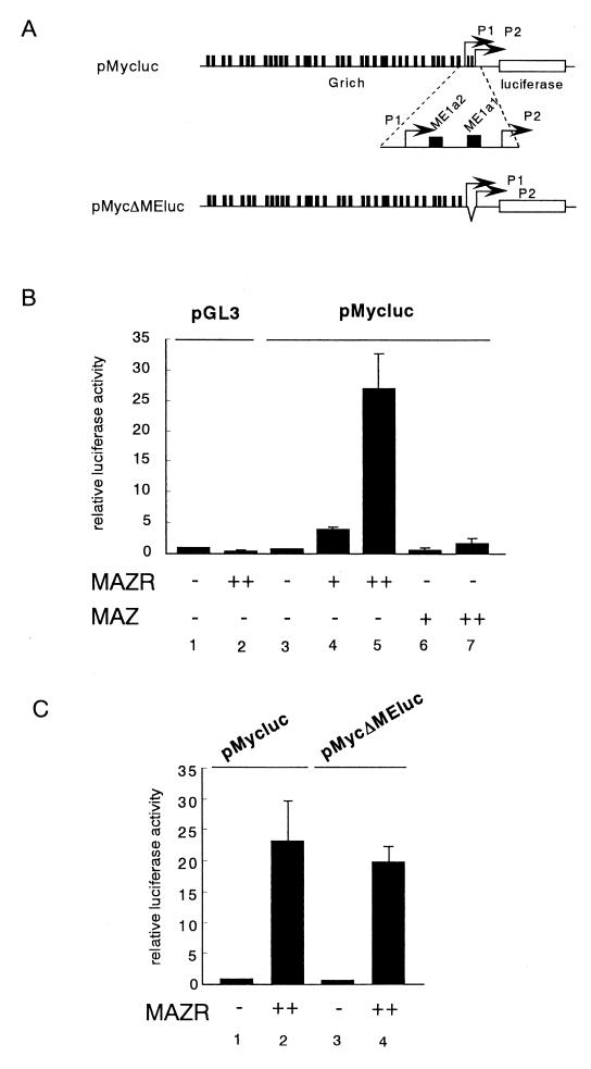 FIG. 7